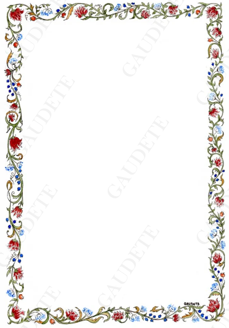 Cadre aux fleurs rouges et bleues - A3